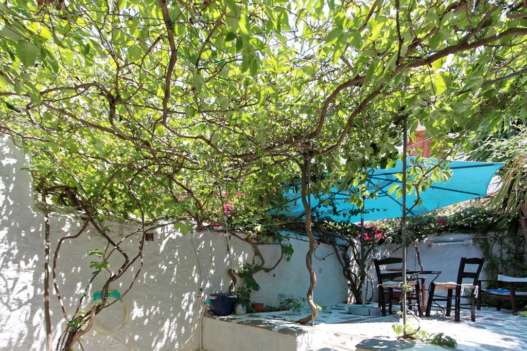 To Spitaki Apartments Galaxídhion Zewnętrze zdjęcie
